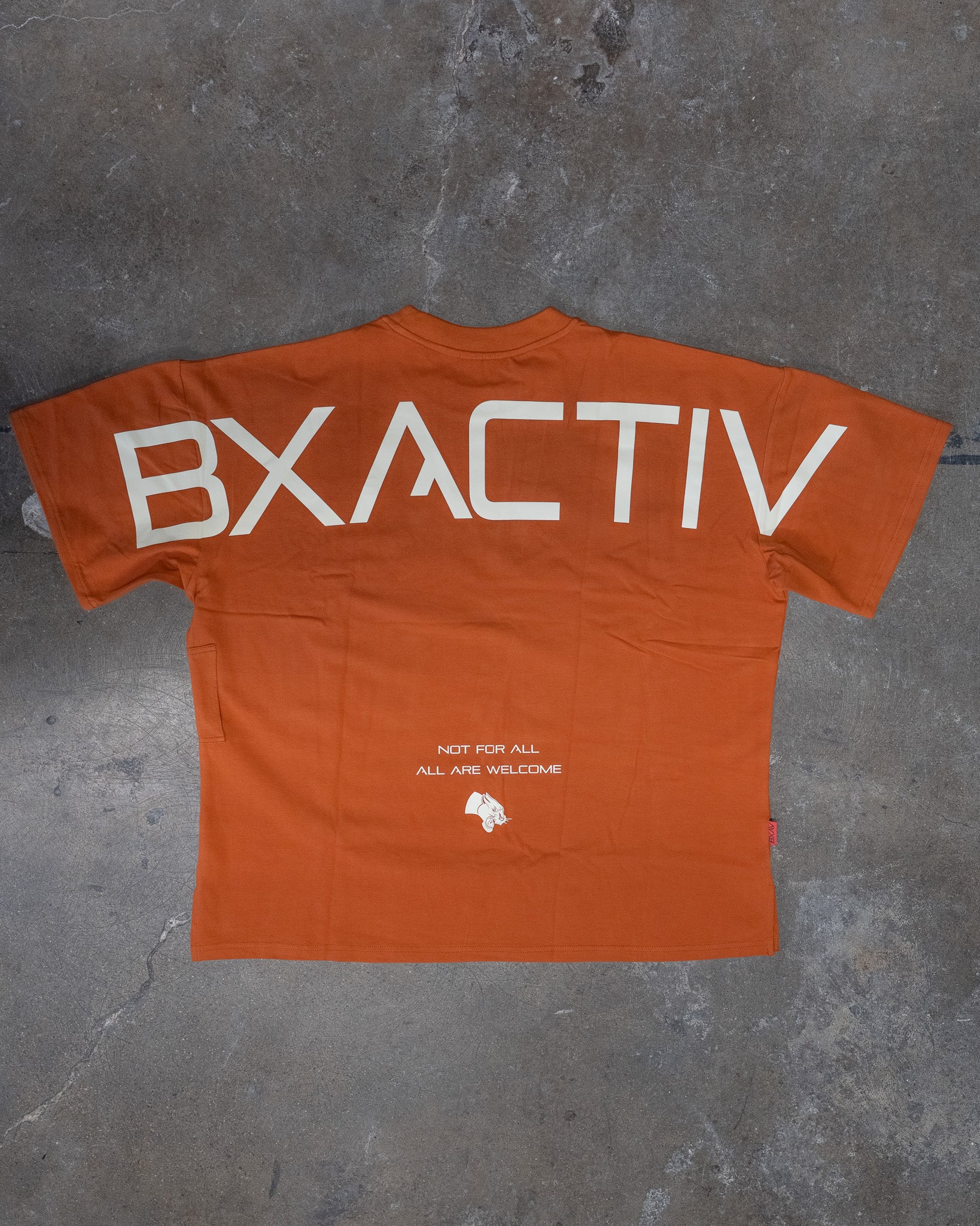 Big Logo Oversize Tee (5 Color Options)